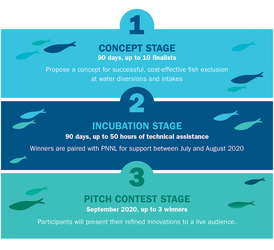 https://americanmadechallenges.org/challenges/fishprotection/Fish_Protection_Stages.png
